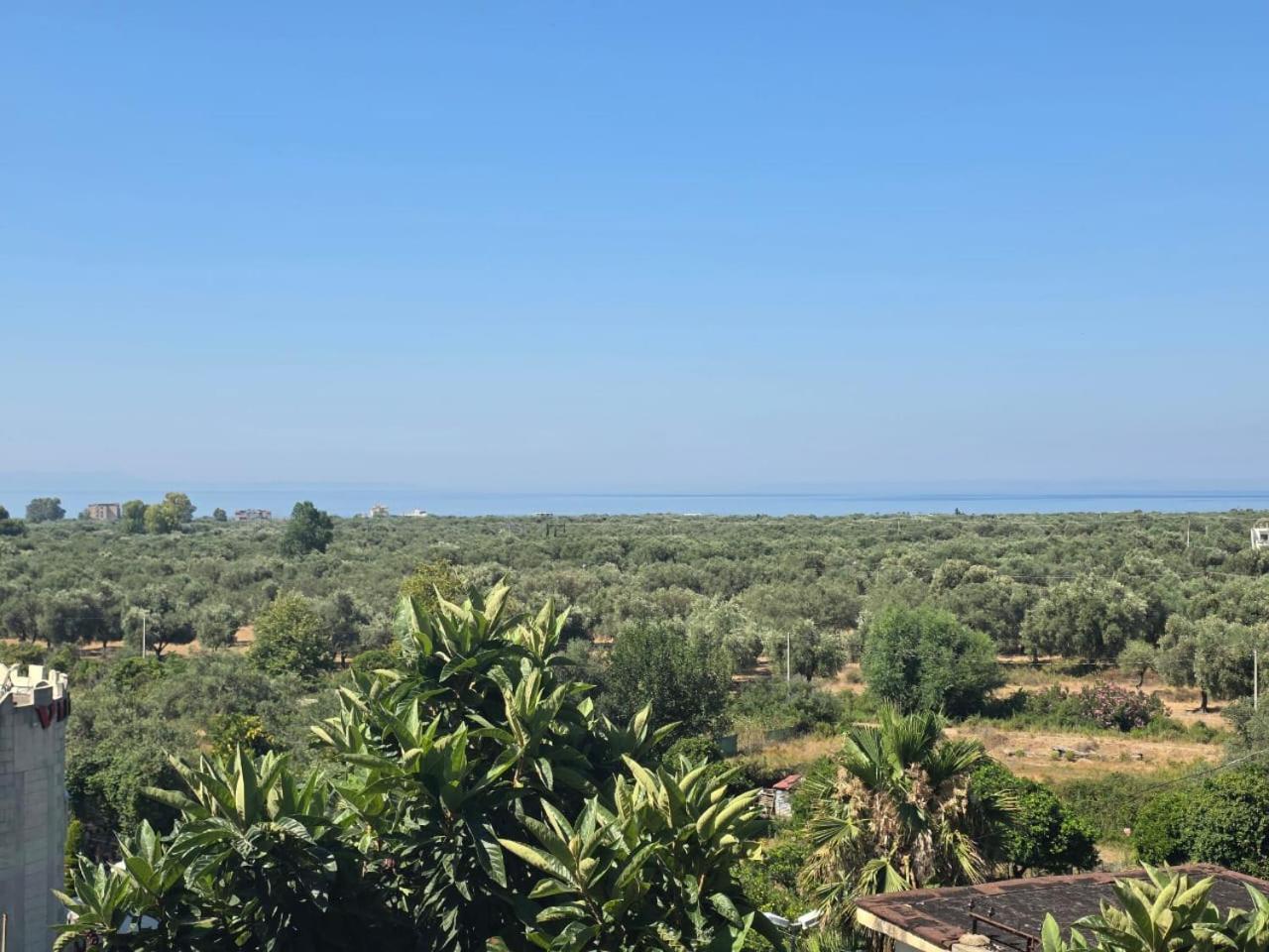 Amantius Himare Privat overnatting Borsh